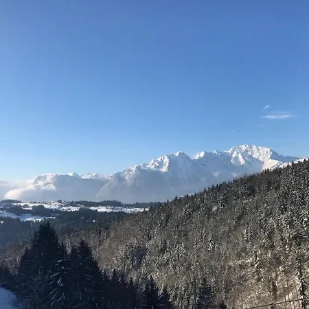 Mit Blick Auf Berge *