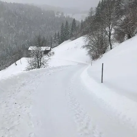 Mit Blick Auf Berge *