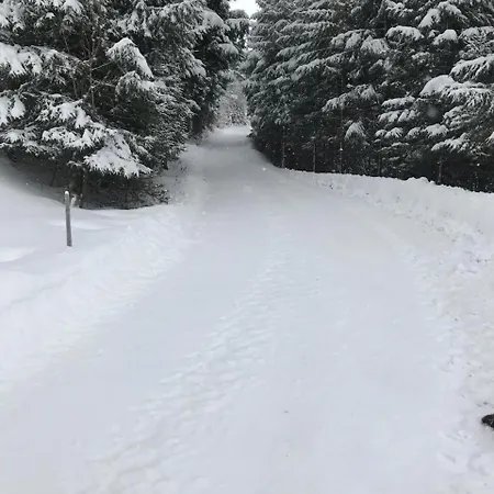 Mit Blick Auf Berge Daire Bad Vigaun