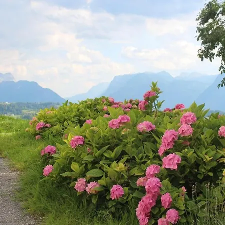 Mit Blick Auf Berge *